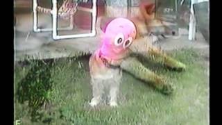 Wolf Eyes - Enemy Ladder (Official Video)