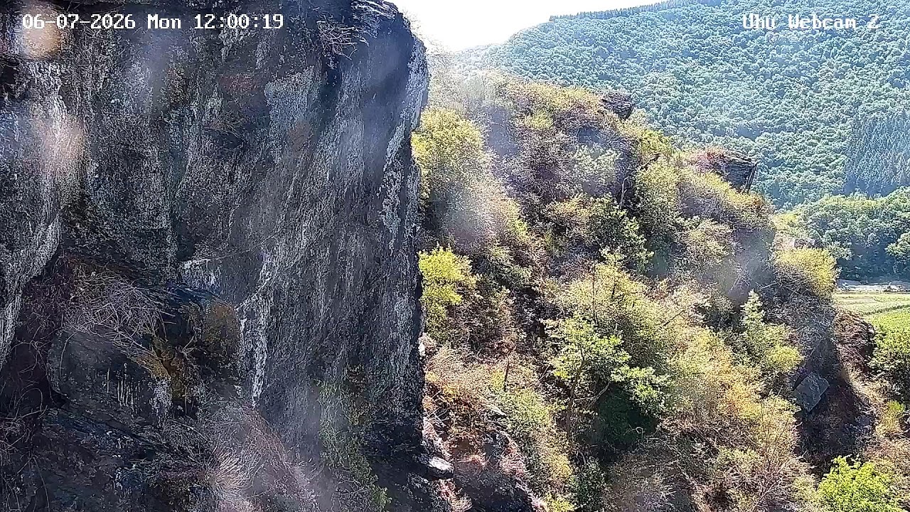 Live webcam view of Búho Real del Valle del Ahr