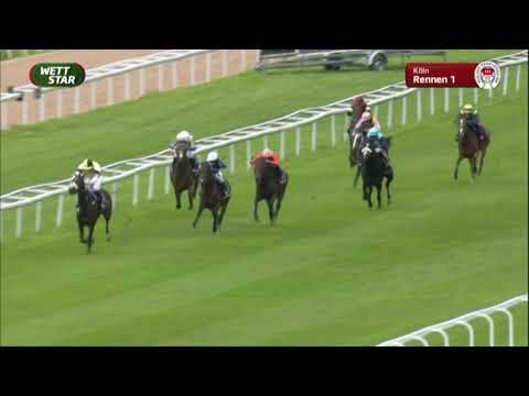 Millowitsch-Rennen - Maiden