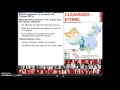 Chinese Cleavages