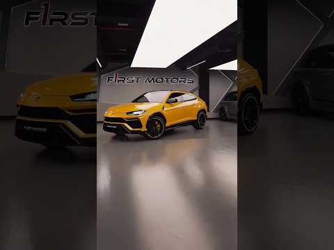 Lamborghini urus || Lamborghini vs Bugatti Veyron