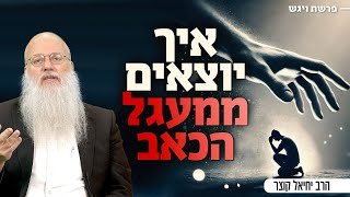 כשהכאב והקושי משתקים אותך: הסיפור של יוסף ובנימין מלמד אותנו איך להתרומם | פרשת ויגש (הרב יחיאל קוצר) - התמונה מוצגת ישירות מתוך אתר האינטרנט יוטיוב. זכויות היוצרים בתמונה שייכות ליוצרה. קישור קרדיט למקור התוכן נמצא בתוך דף הסרטון
