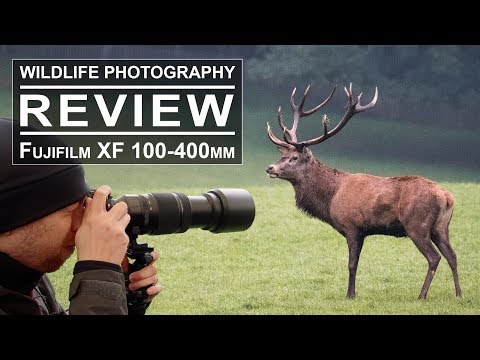 Wildlife Photography with the Fujifilm XF 100-400mm Lens | Review + Test + Sample Pictures