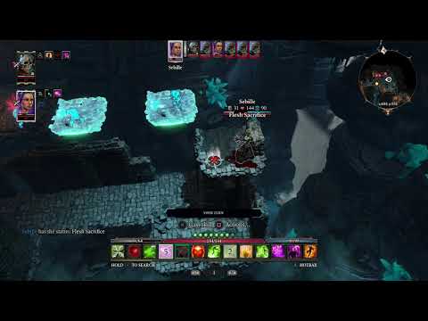 Divinity Original Sin 2 - DE - Act 1 - Trompdoy Battle (Tactician - PS4)