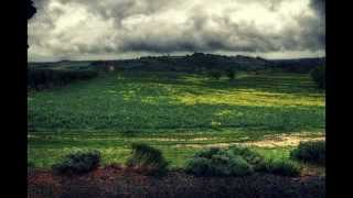 Undertrick - The Bluest Blues (Ten Years After)