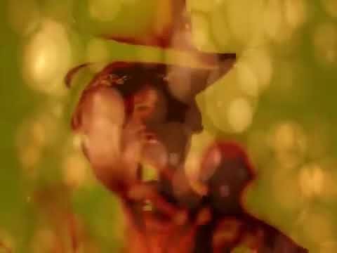 Step In The Name Of Love (The Video) &middot; R. Kelly (Official music video)
