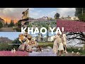 KHAO YAI TRAVEL VLOG Budget Places To Visit Things To Know Before Visiting Is It Worth It