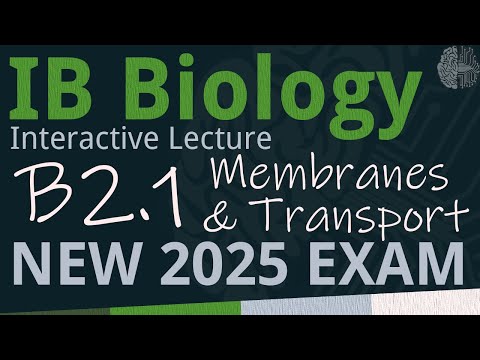 IB Biology B2.1 - Membranes & Transport [SL/HL] - Interactive Lecture 2025-2033