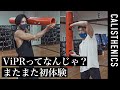 ViPR バイパー?!ファンクショナルトレーニングを体験!! [カリステニクス･自重トレ][モデル]