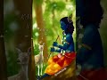 O Palan Haare Nirgun O Nyaare Tumre Bin Hamraa Koi Nahi ️ Ong Status Video Krishan Status Song