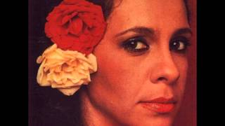 Noites cariocas Lyrics English Translation