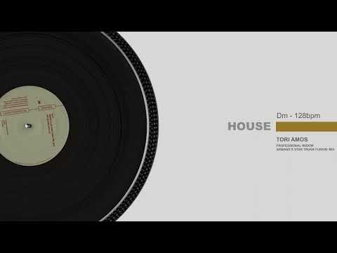 Professional Widow (Armand's Star Trunk Funkin' Mix) のサムネイル