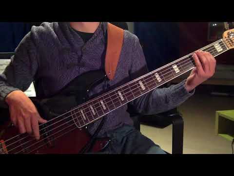 Ga Niet Naar Nieuwsuur - Zondag met Lubach ft Sosha Duysker (Bass Cover)