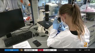 2 more cases of monkeypox virus discovered in New York City