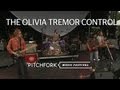 The Olivia Tremor Control performs "Jumping ...
