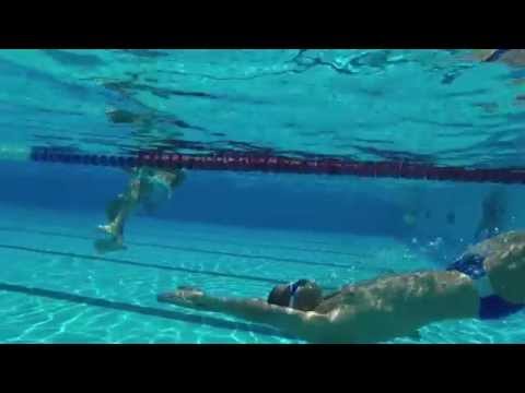 תמונות עולם המים
