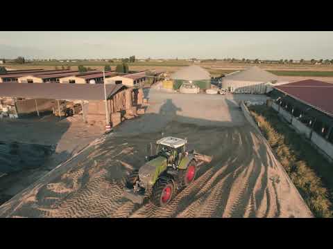 Trinciato Mais 2021 Azienda Agricola Guzzo AFN 4K