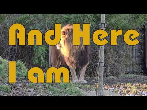And Here I Am