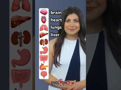 Human Body Internal Organs - English Vocabulary