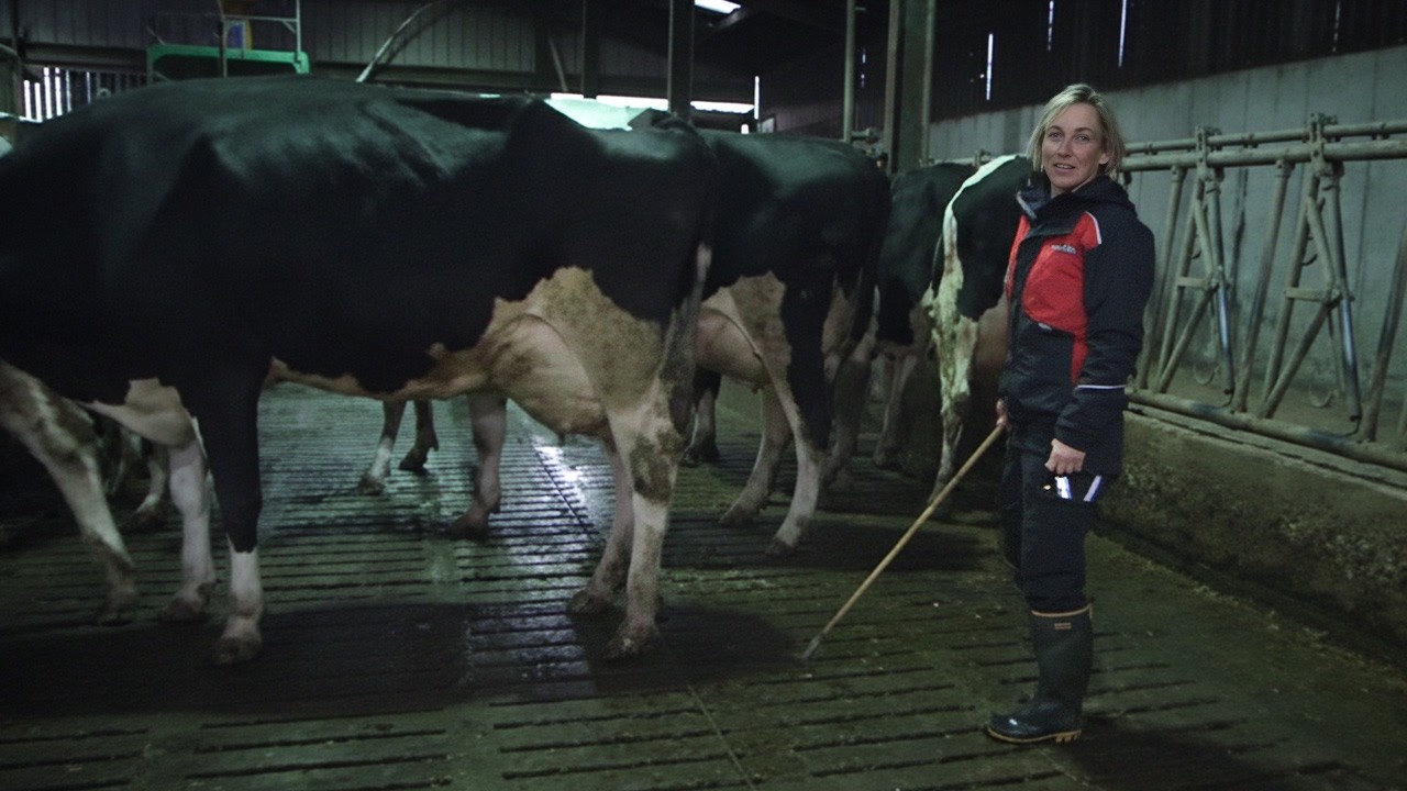 Reportage - Agriculteurs, entre passion et colère