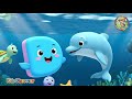 D For Dolphin Learn Letter D Phonics Animal Sounds For Nursery