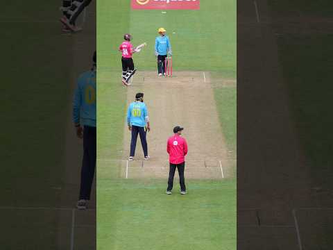 Gregory and Hermann smash two HUGE sixes off Usman Tariq #cricket