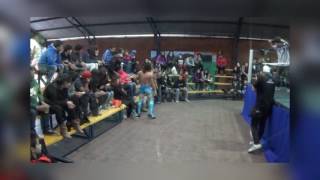 sinner vs taylor wolf mv