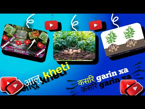 , title : 'how to potato farming aalu keti kasri garin xa'