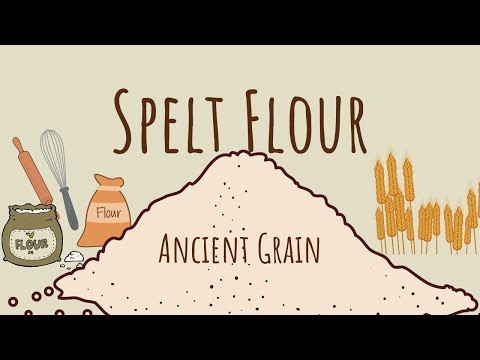 download lagu mp3 mp4 Spelt Whole Foods, download lagu Spelt Whole Foods gratis, unduh video klip Spelt Whole Foods