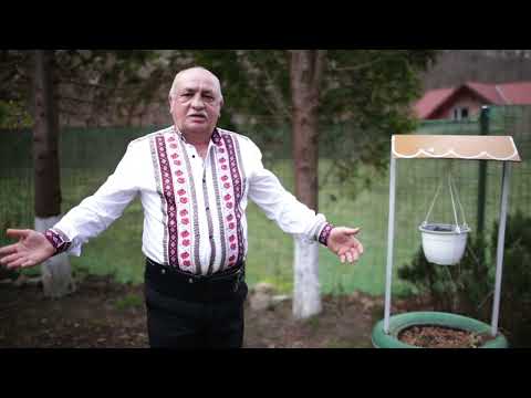 Aurel Mascovici - Unde-s anii, unde-i viata?