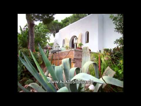 Ferienhaus Kaktusfinca in Cala Ratjada Mallorca