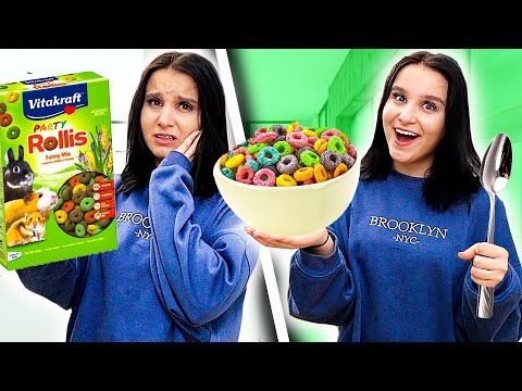 1 TAG lang mit FAKE ESSEN Schwester pranken ! 😂 (Teil 4) - Celina