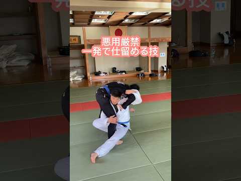 悪用厳禁！一発で仕留める技　ブラジリアン柔術