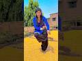 Pairon Me Bandhan H Viral Shorts Trending Song Virelshirts Dance Virelshirts