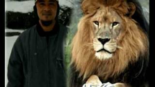 Download lagu yunus.avi mp3