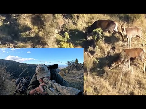 Hunting Adventure With a Crazy Twist