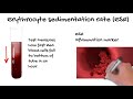 Erythrocyte Sedimentation Rate  (ESR)-  what does the ESR  tell you? Simply Explained.