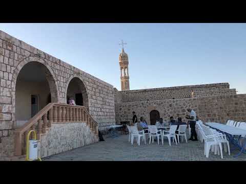 Arbo - Fehmi und Indravuz Bagandi