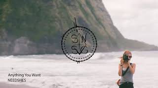 NEEDSHES - Anything You Want