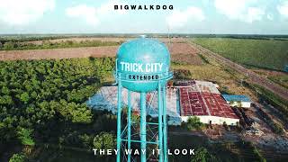 BigWalkDog - The Way It Look [Official Audio]