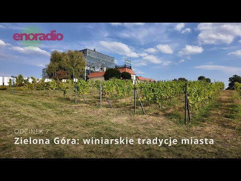 Episode 7: Zielona Góra – the city's wine-making traditions
