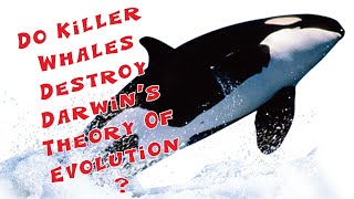 Killer Whales -- Zombie Science Author Explains a Fatal Challenge to Evolution