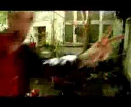 Harry Axt - Lorkentaucher