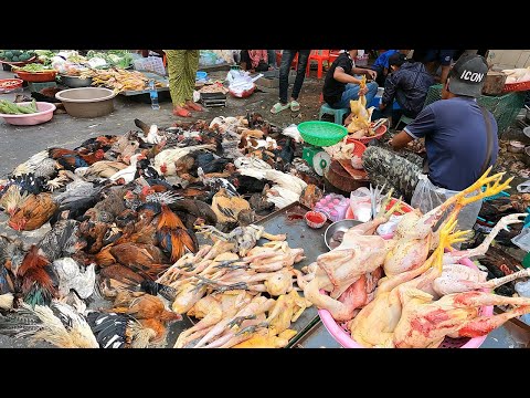 Morning Wet Market | Living Chicken | Freshwater Fish | Seafood | and More | Food Market