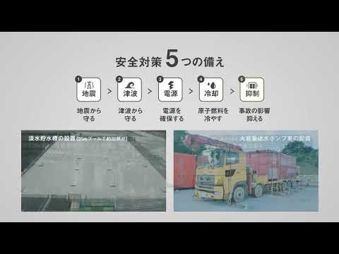 ヤンキーロウ原子力発電所 - 定義