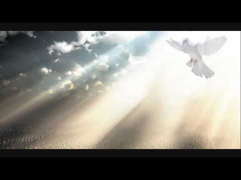 Duch Svätý sa dnes zjavuje (JKS 218)