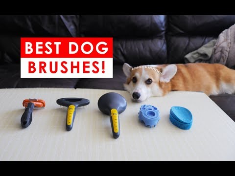 BEST DOG BRUSHES FOR SHEDDING AND HEALTHY FUR HAIR