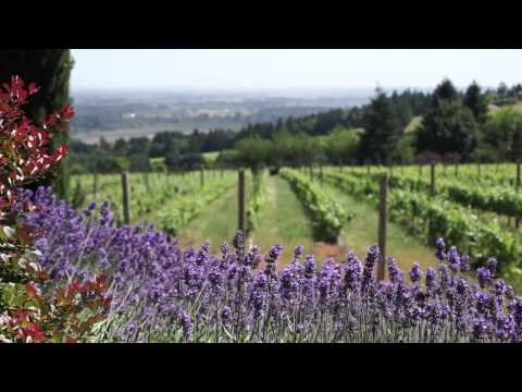 Five Must-Visit Cities on a Pacific Northwest Road Trip