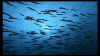 Gero - Tu Me Manque Beaucoup video