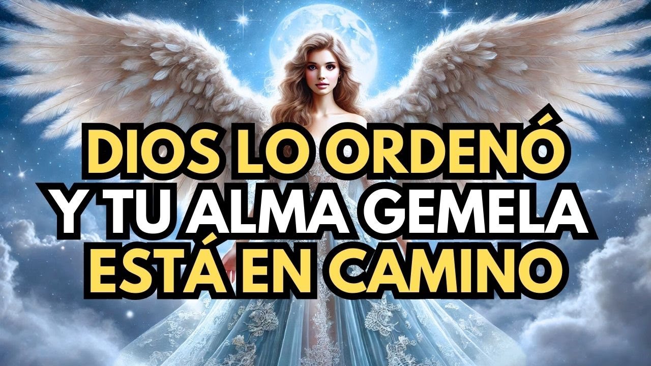 Dios lo ordenó y ahora vas a conocer a tu gran amor - REVELACIÓN DE LOS ÁNGELES